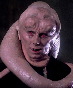 Bib Fortuna