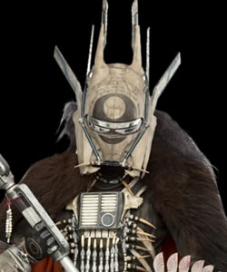 Enfys Nest