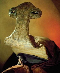 Momaw "Hammerhead" Nadon