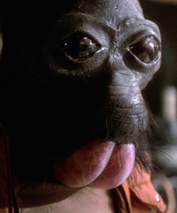 Ponda Baba