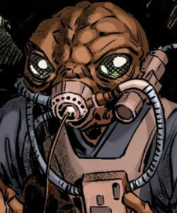 Rinn (Bounty Hunter)