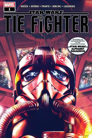 TIE Fighter #1